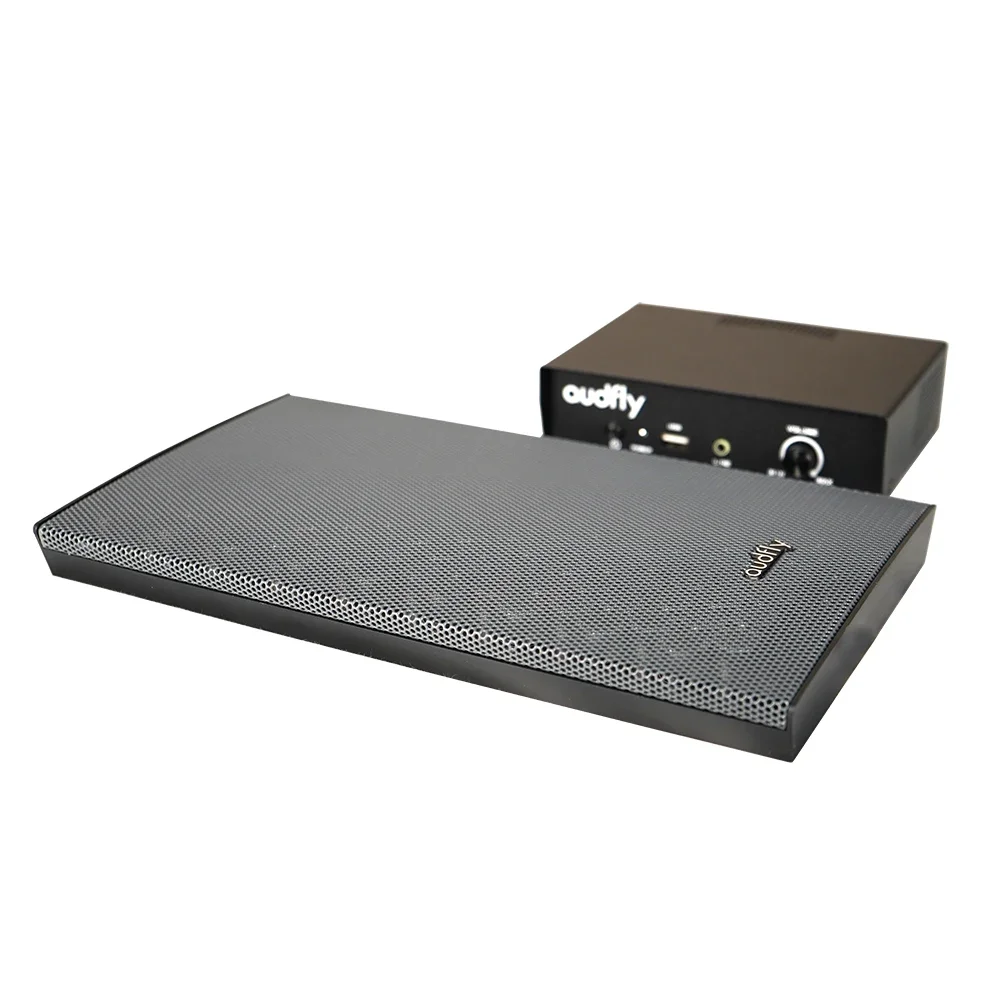 NEW Audfly Control Sound Innovation Wall Mounted High Directivity Focused Audio Directional Speakers for museum