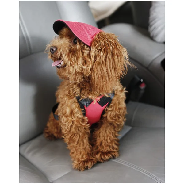 귀여운 통기성 강아지 스포츠 모자 이미지