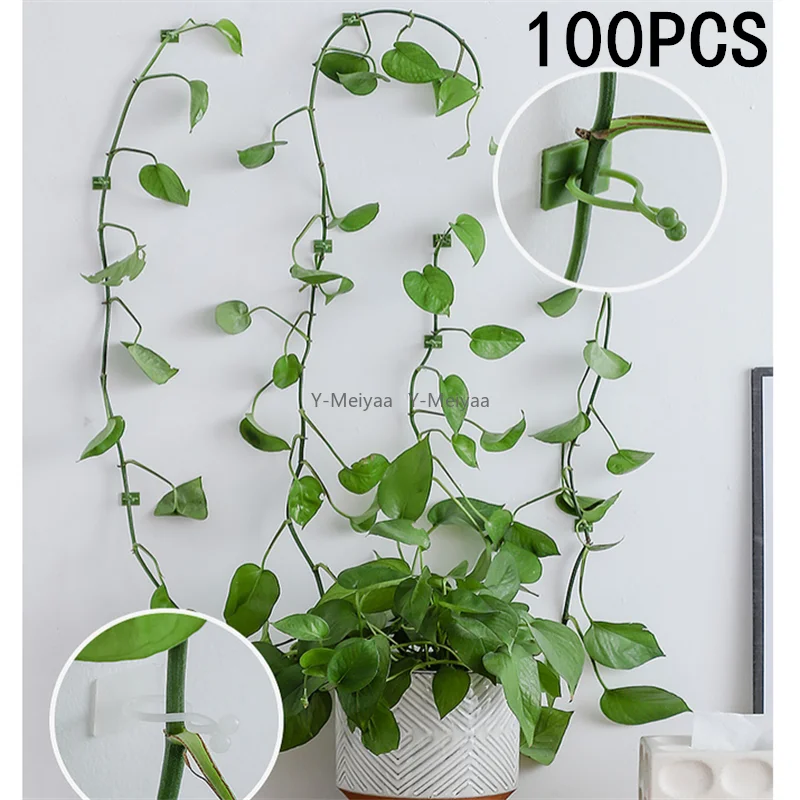 10/50/100 stücke Home Garten Anlage Klettern Wand Halterung Clips Rattan Reben Fixer Selbst-Kleber Anlage Klettern wand Feste Schnalle Haken