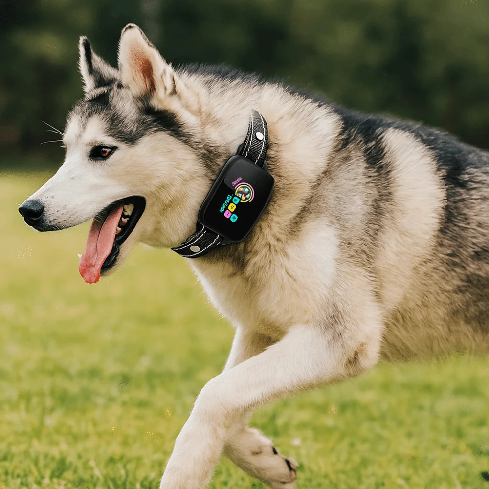 Intelligent Dog Barking Collar Type-C Rechargeable Color Screen Anti Bark Dog Collar Shock Functions Waterproof