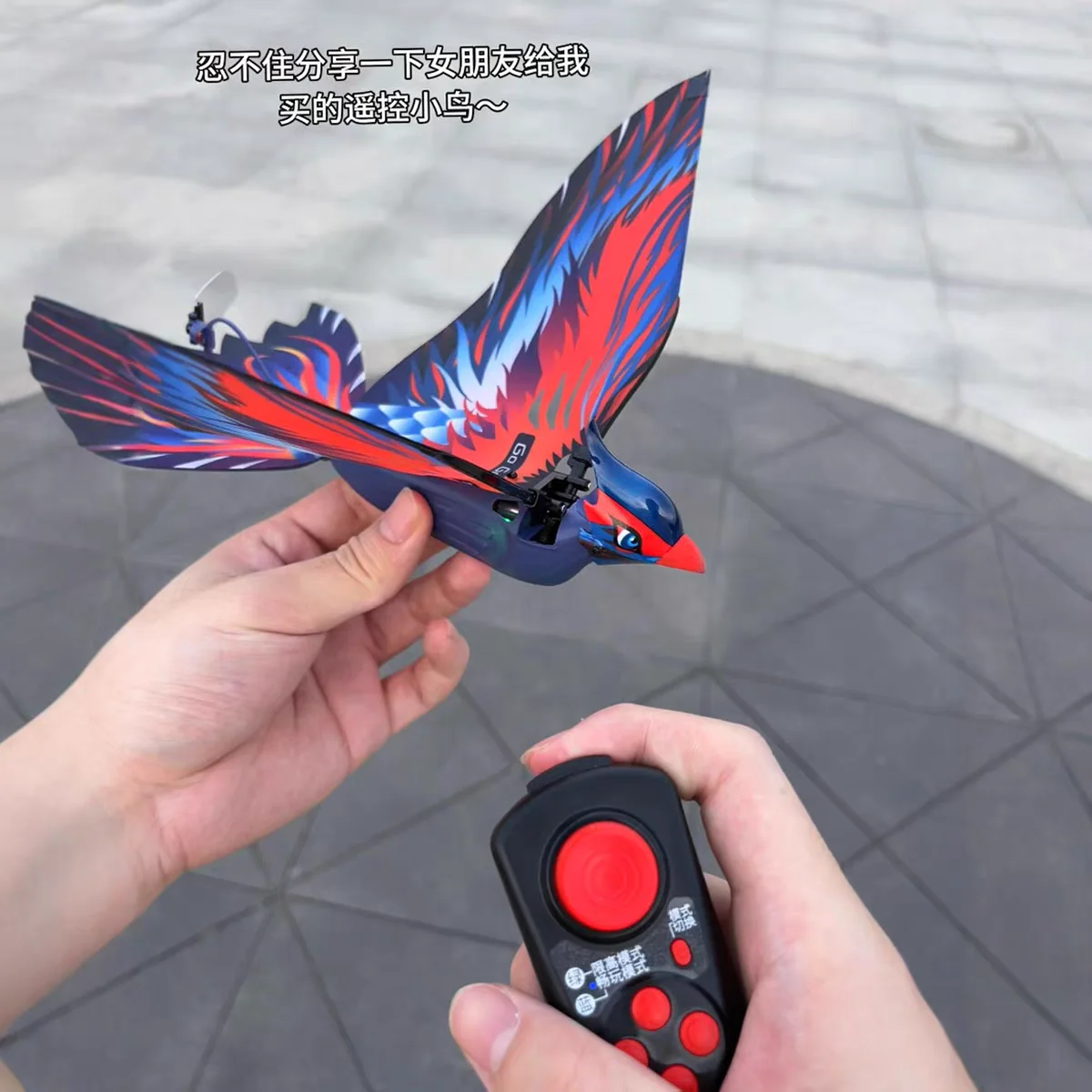 Bionic flapping wing remote control plane early bird flyer creative cute children's remote control cloth wings