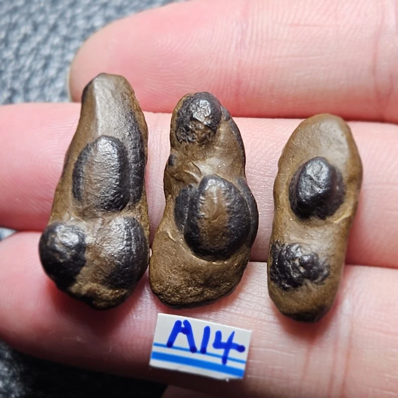 

Natural Gobi Desert Energy Witchcraft Chakra Stone Healing