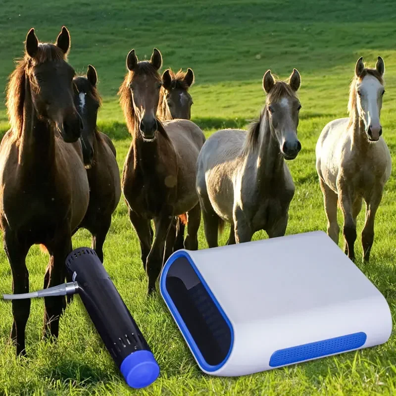 

Animal Therapy Tace Horse Wound healing Veterinary Use Radail Shock Wave for Horse Equine Treatment