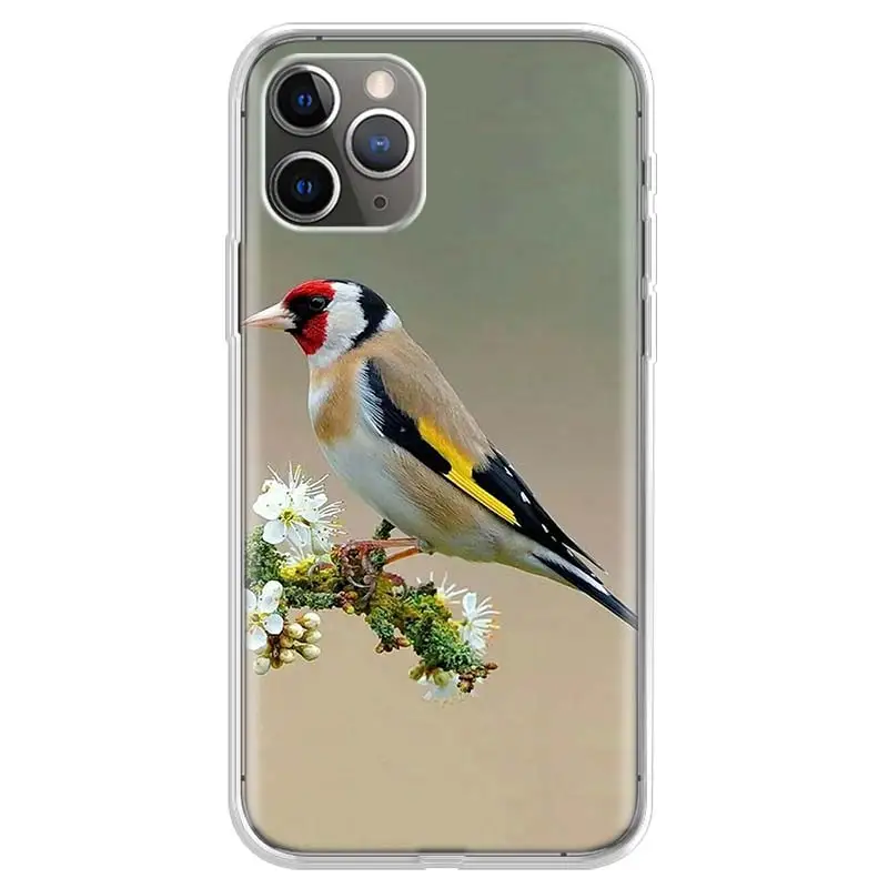 lovely birds Phone Case For iPhone 17 Air 11 13 Mini 14 15 Plus 16 12 Pro Max 16E SE 7 8 Pattern Soft TPU Back Cover Case For Ap