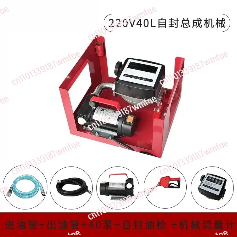 Electric Transfer Pump 12V 24V 220V for Diesel High Oil Transfer with Nozzle