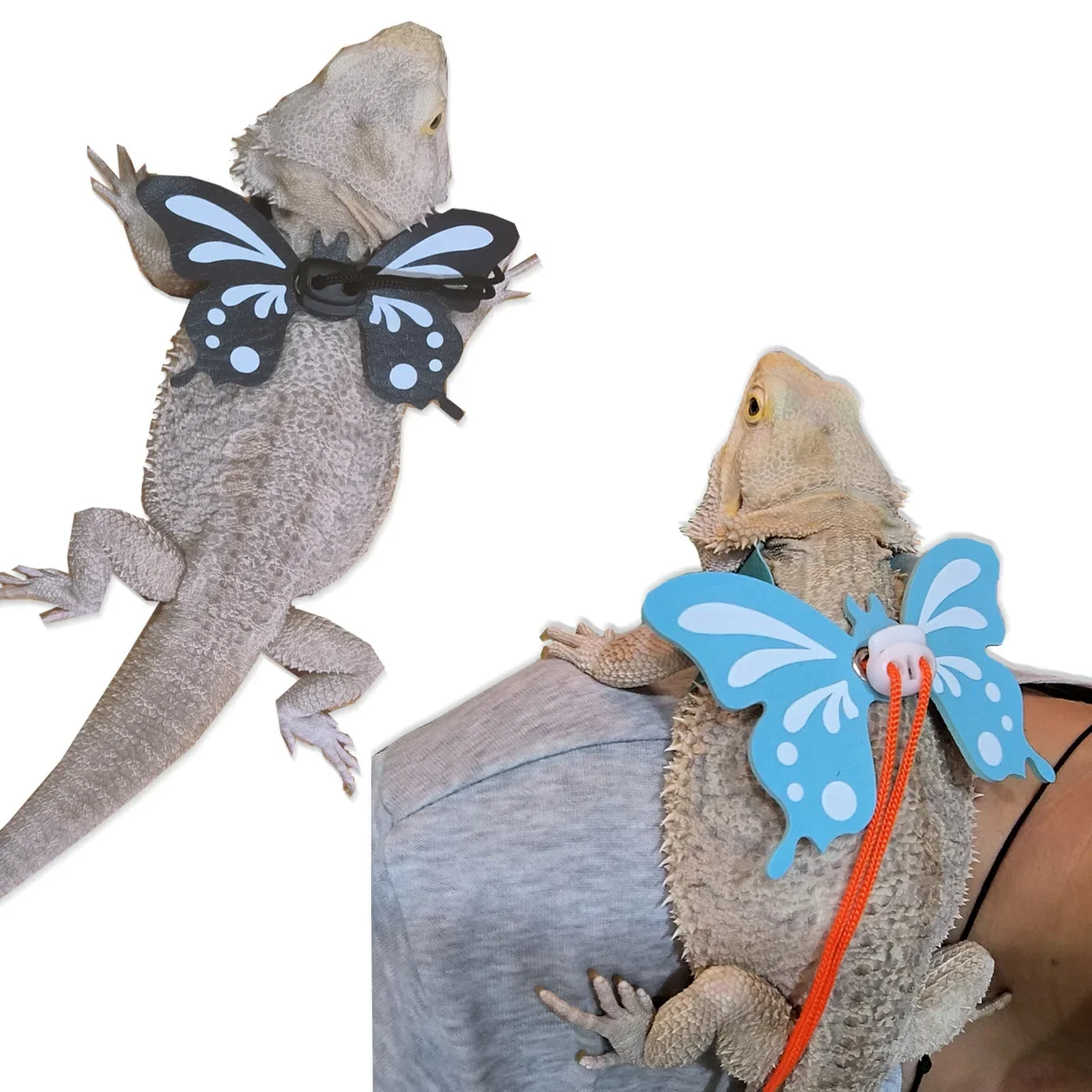 Lizard Leash, Climbing Pet, Outdoor Leash, Walking Lizard, Small Pet Leash, Butterfly Wing Leash