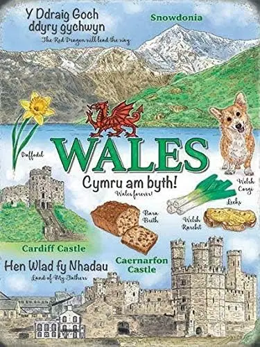 Vintage Style Wales Landmarks Snowdonia Cardiff Caernarfon Castle Home Wall Decor Metal Tin Sign 12x8inch for Home Kitchen  sign