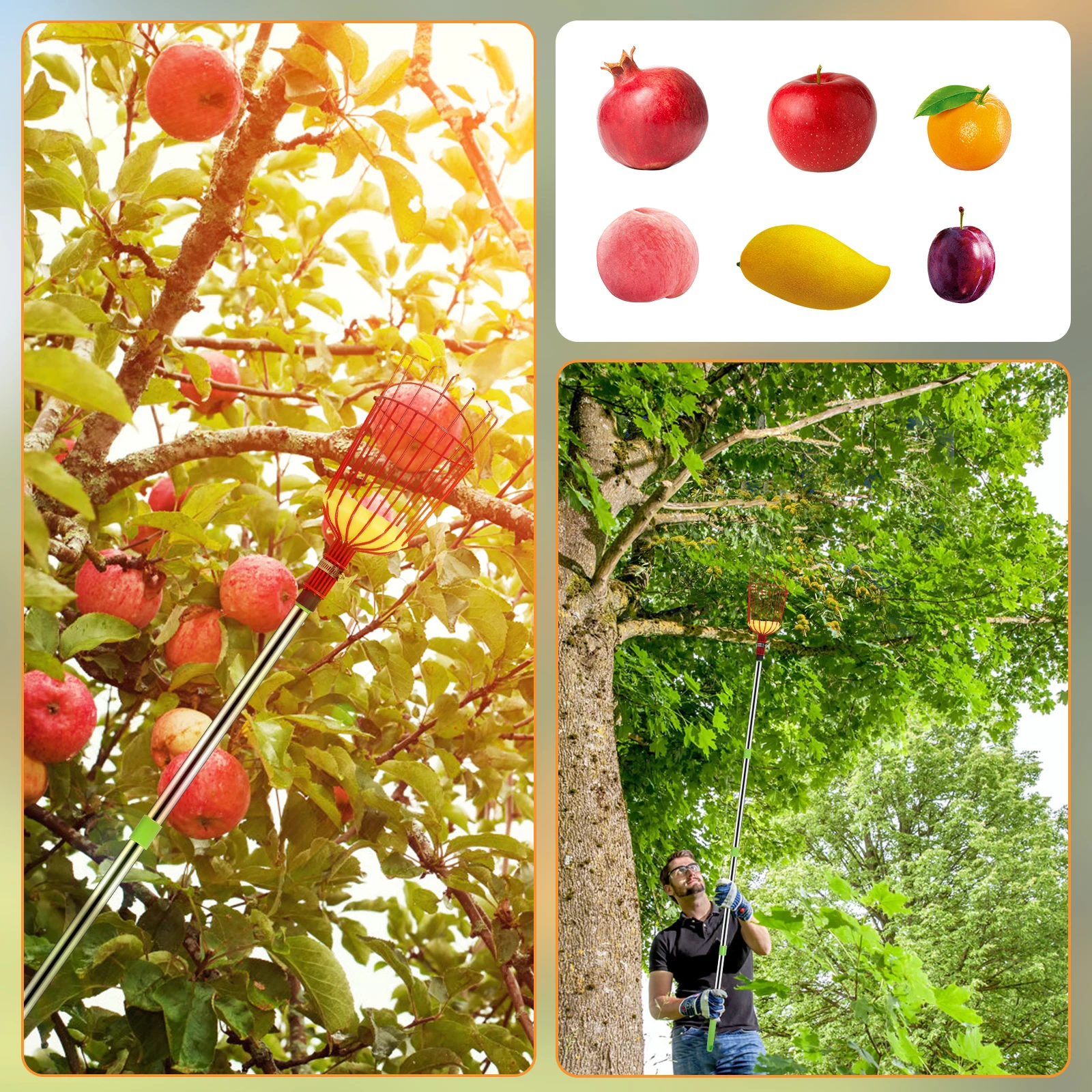 Imagem -03 - Deep Basket Fruit Picker Catcher Apple Peach Picking Device Farm Picking Cabeça Conveniente Acessórios para Ferramentas de Jardim