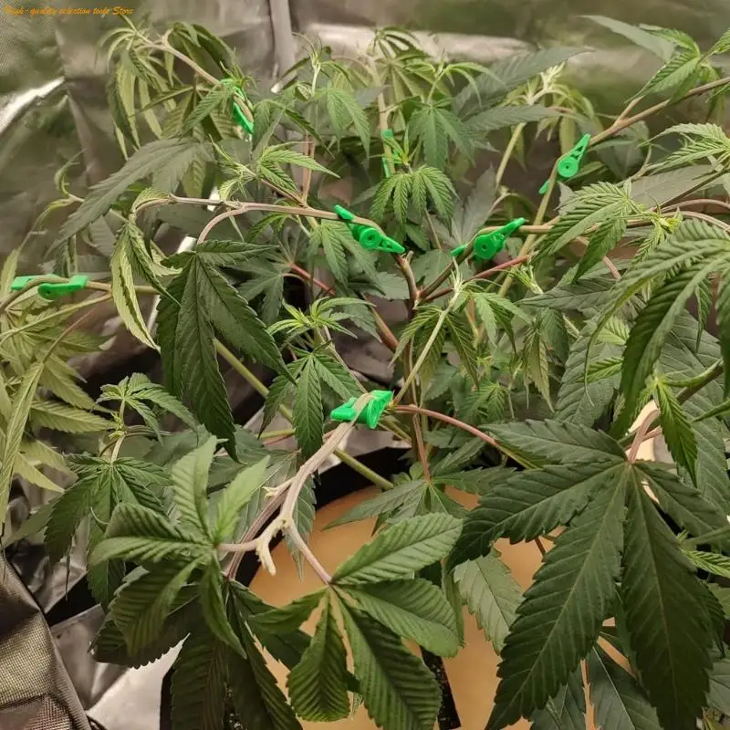 

203F Pack of 30 Adjustable Plant Bender Clips for Stem Training and Growth Direction Control