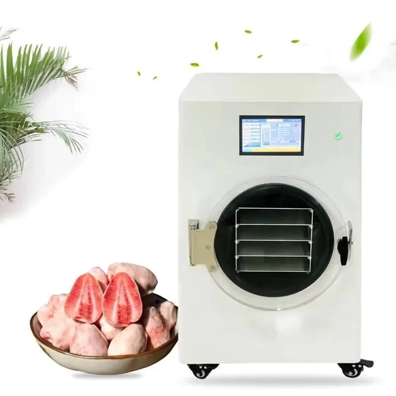 

New Hot Sale Industrial Mini Food Household Freeze Dryer With Free Rotary Vacuum Pump