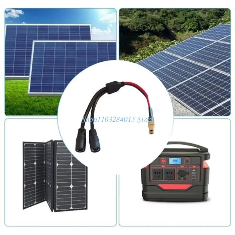 R6FF 12AWG XT60 إلى اثنين #4