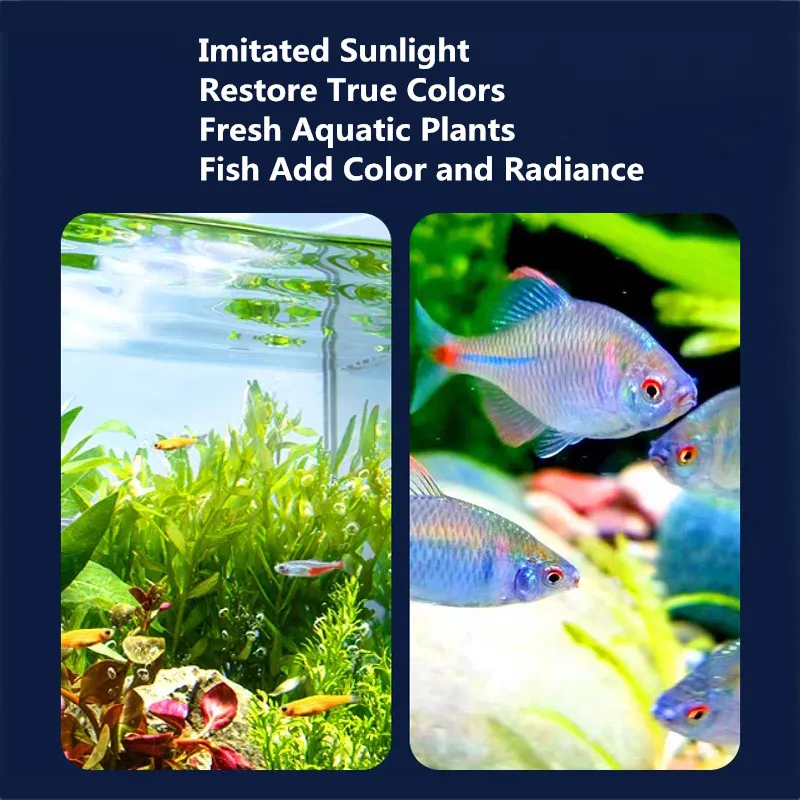 Aquarium Fish LED Lights Clip on Small Grow Light Rotatable Landscape Lamps USB Waterproof Fish Tank Decora Colored Lights