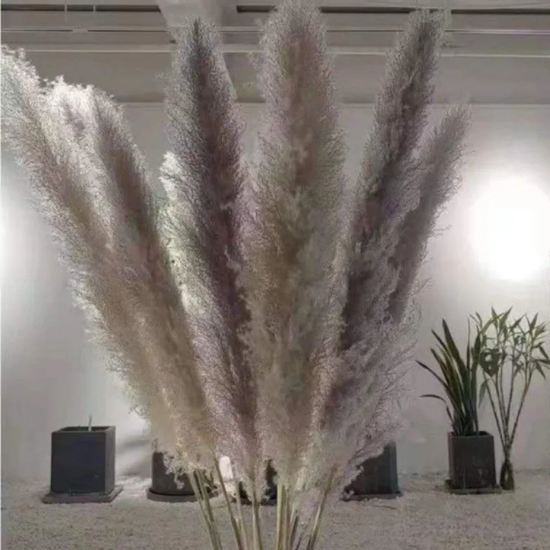 

3pcs 80cm Pampas Grass Large Decorative Dried Flowers Natural Living Room Decoration Fluffy Home Decor Bouquet For Wedding Party