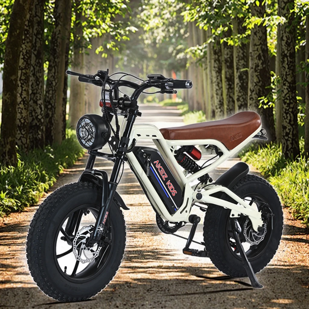 

US Version 16-Inch Retro Soft Tail Electric Mountain Bike For Kids 350W Sensor Variable Speed Rear Hub Motor Sport 50km Range