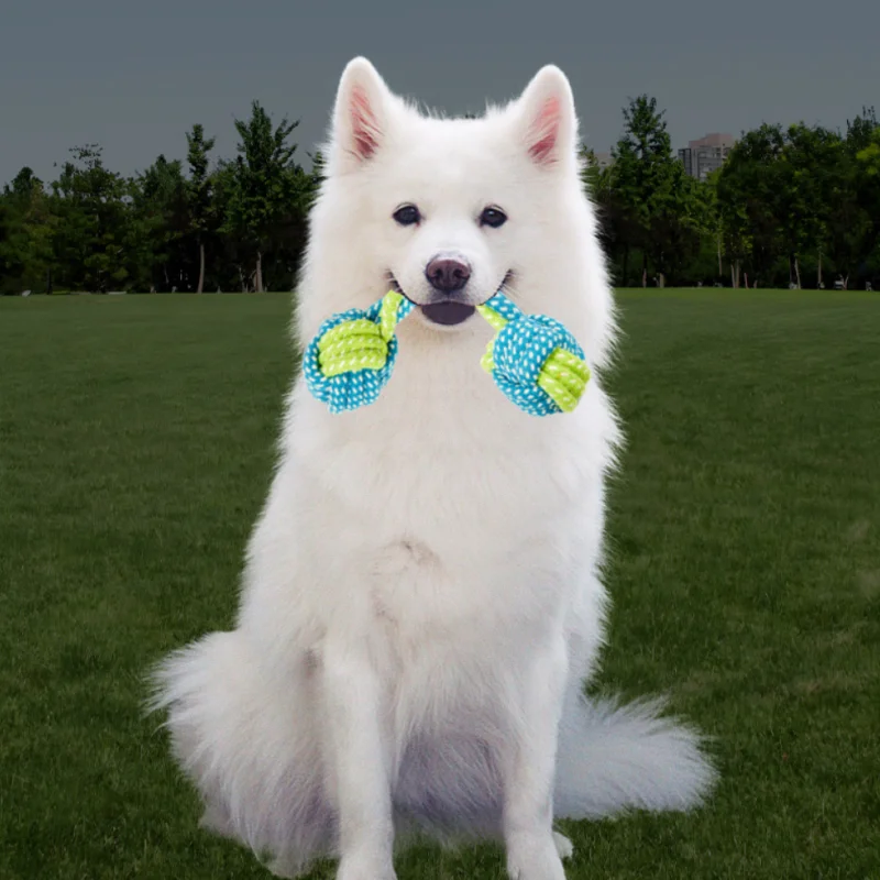 Thumbnail 4 - #85 Best Puppy Balls to Buy In 2026