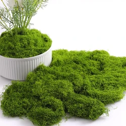 20/40/100g Eternal Life Moss DIY Crafts Grass Artificial Green Plants  Home Room Garden Decor Mini Landscape Fake Grass Bonsai