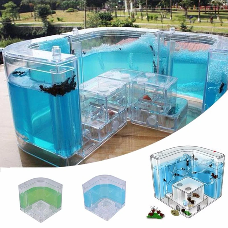 for Acrylic Ants Farm Ants House Castle Colorful Insects Terrarium Ant  Insects Box Nursery Ecological Kid Educational Model Toy