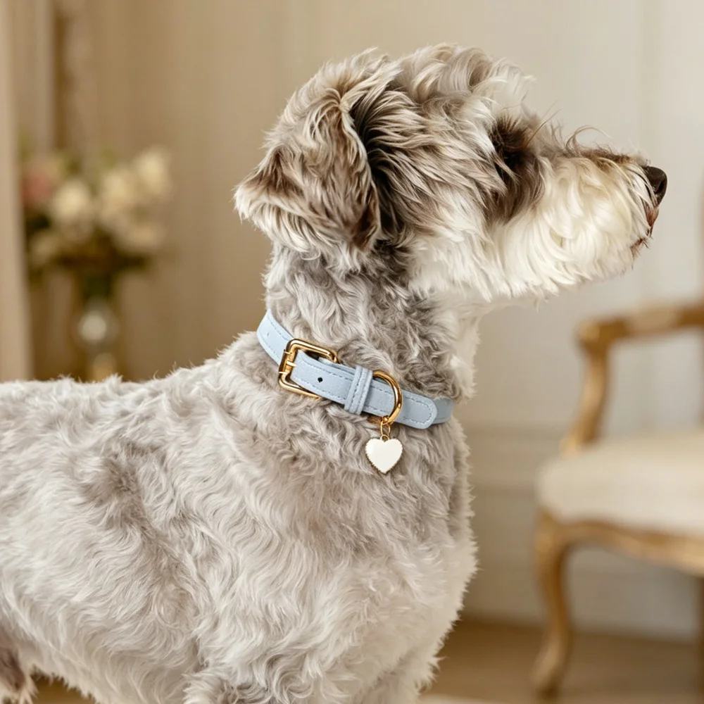 Personalisiertes Hundehalsband aus PU-Leder, kostenlos mit individuellem Hundennamen, Haustierhalsband mit niedlichem Anhänger, weich, für kleine und mittelgroße Hunde und Katzen – Detail 18