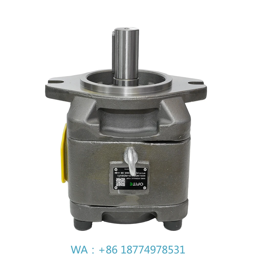 l Gear Pump for Moulding Machine Bending Machines ForkliftHG2-80 Series High-Pressure Hydraulic Pump Oil Pump Internas