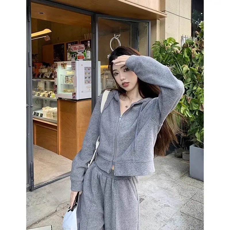 Korean Style Autumn New Grey Hooded Top Thin Jacket Wide Leg Pants Two-piece Set Women\'s Pants Set Sports Suit