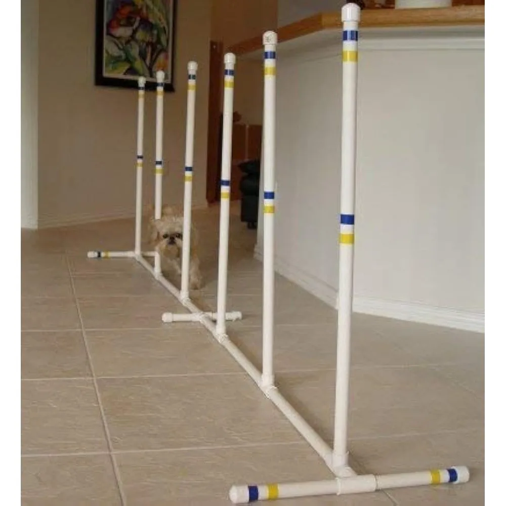 Dog Agility Set of 6 Indoor/Outdoo