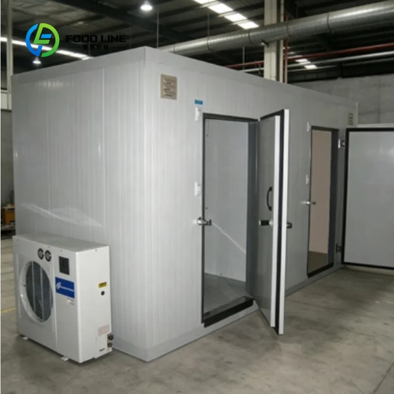 Custom Walk-In Cold Storage Room, Precise Constant Temperature Warehouse for Vegetables Fruits Flowers Meat Food Fresh Keeping