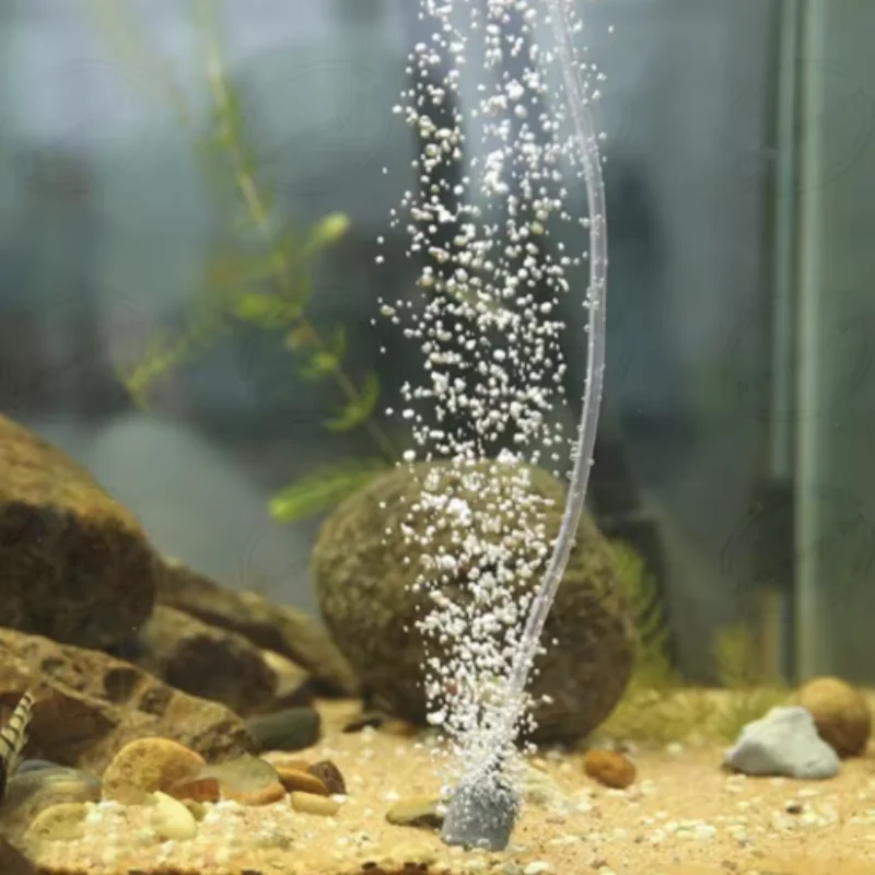 Heißes Mini-Aquarium-Luftpumpen-Set, USB-betrieben, leise, energieeffizienter Sauerstoffgenerator mit Luftstein für Fischbecken – Detail 3