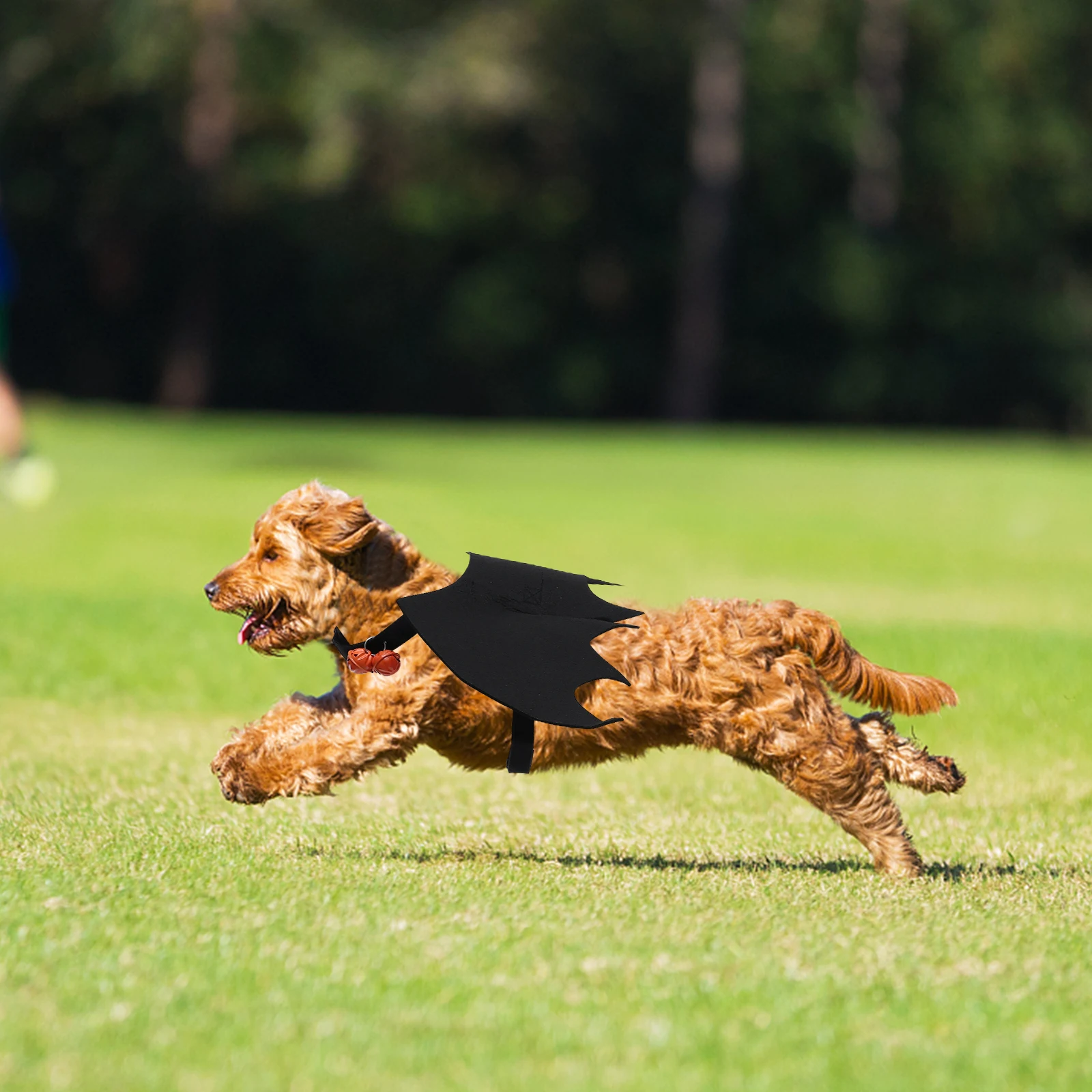

1Pcs Black Bat Wings Pet Costume Lightweight Adjustable Halloween Cat Dog Holiday Apparel Cat Bat Wings Halloween Pet Costume