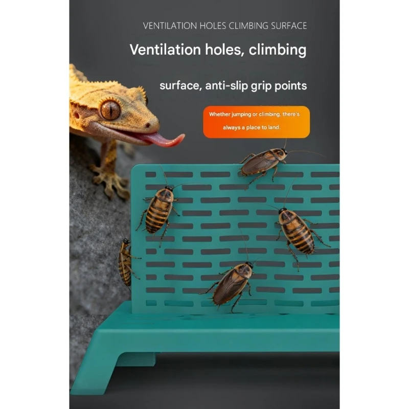 MultiFunctional Insect Climbing Frame For Reptiles With Breathable Feeding Design And Habitat Simulation HX6C