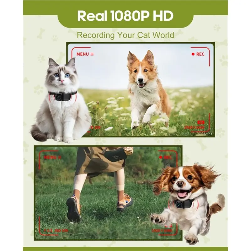 طوق كاميرا Cat 1080P HD كاميرا رياضية صغيرة الحركة مع تسجيل فيديو، بطاقة SD 16G - مستلزمات الحيوانات الأليفة/الأشياء لجميع الأنشطة - Y41A #4