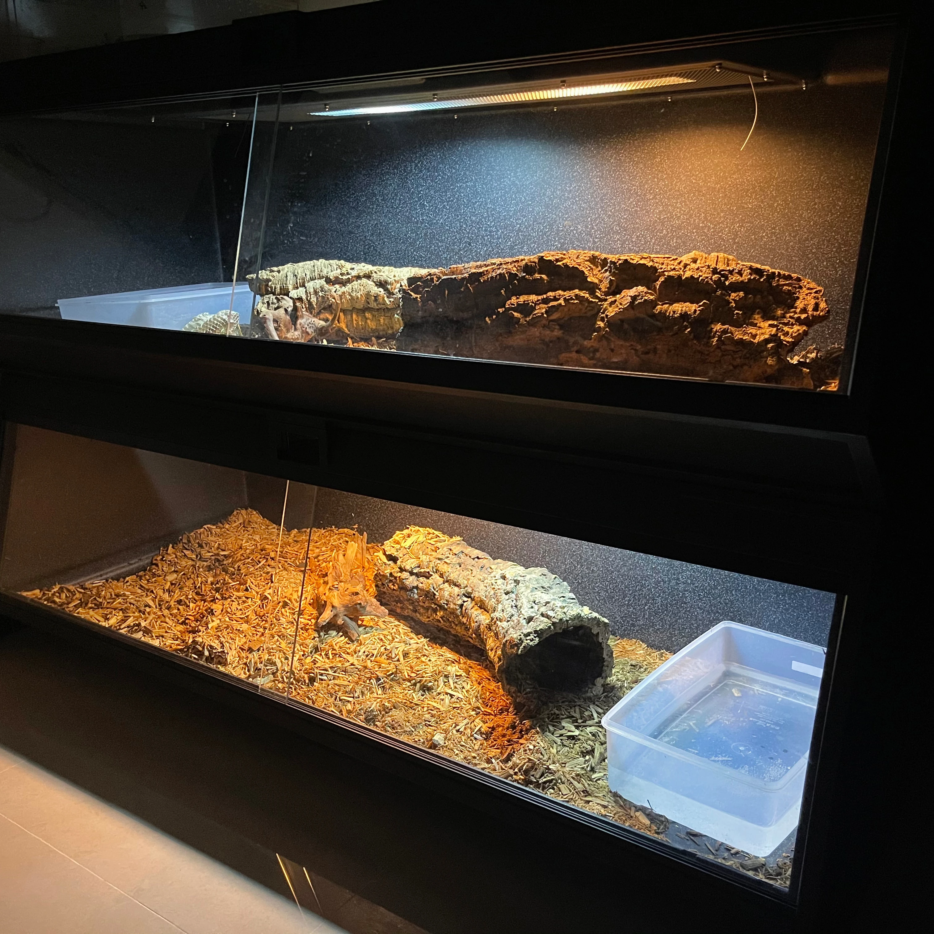 Nowy projekt pp czarna klatka na gadki szare obudowy na gady marmurowe szare klatki na terrarium dla węży i gadów