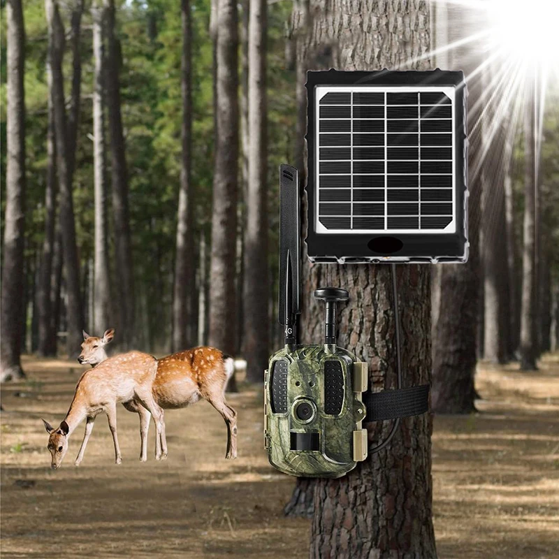 

Solar Panel Trail Camera Portable 6V/9V/12V With 8000mAh Built-In Battery IP66 Waterproof for Hunting Game Camera