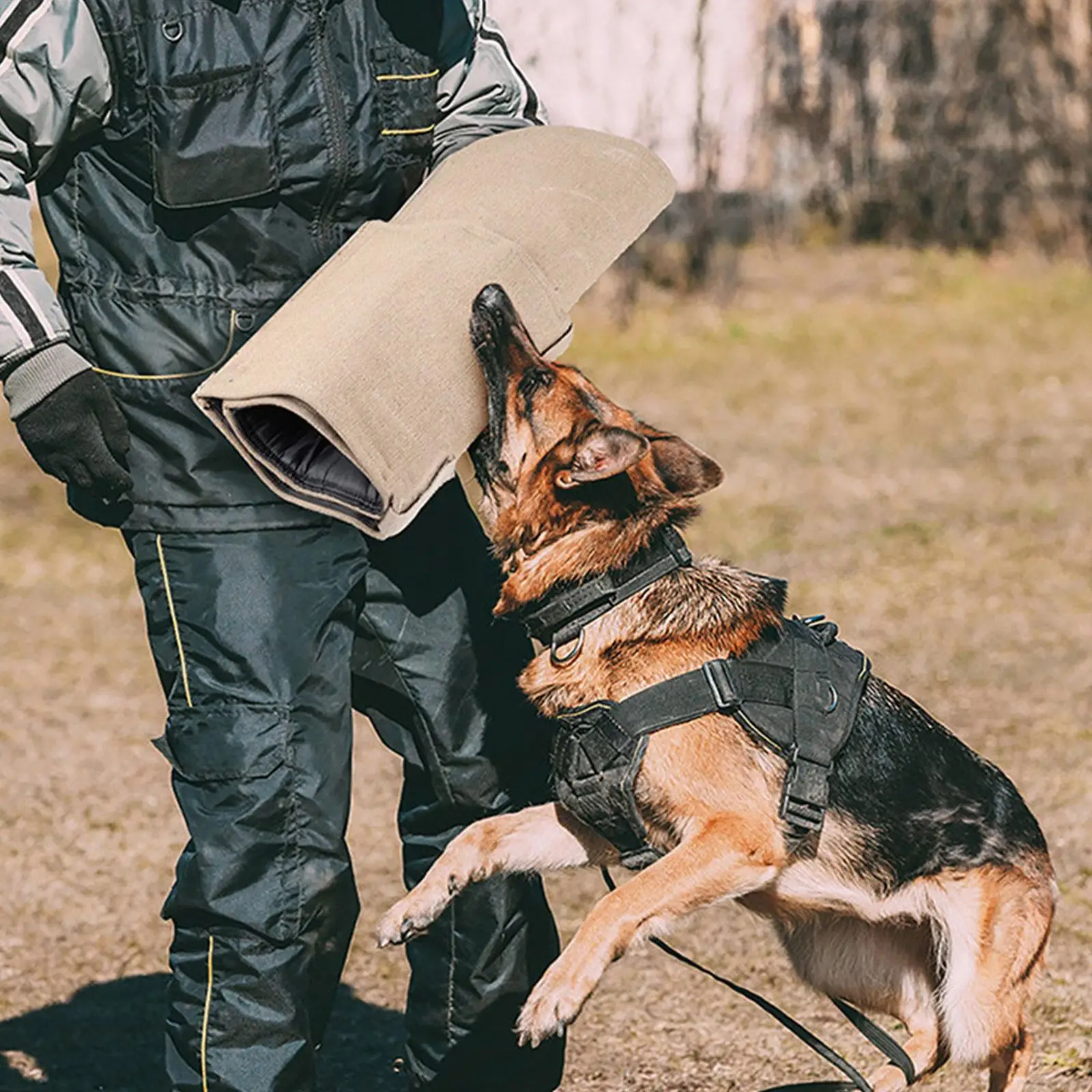 Dog Bite Sleeve Training Equipment for Playing Medium Large Dogs Interactive