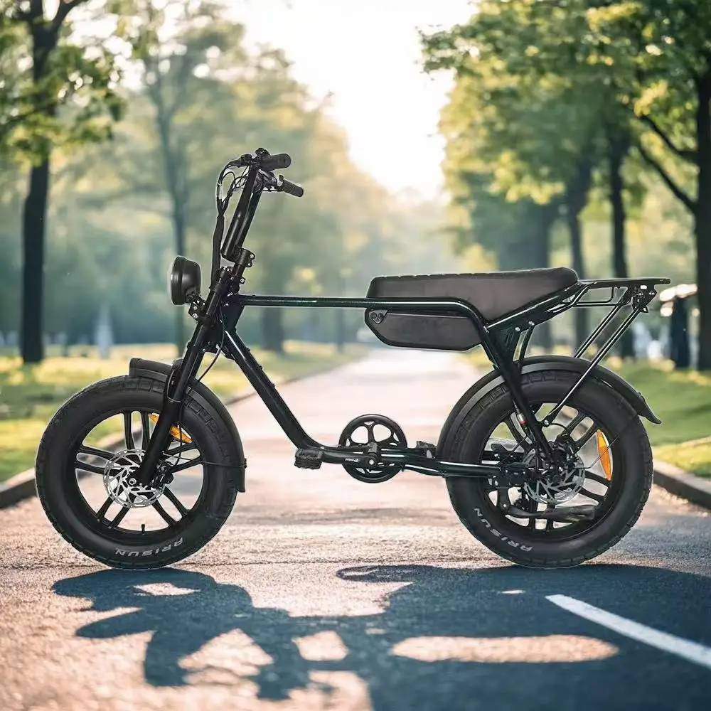 20*4 Inch Fat Tire Electric Bike 36V 750W Mountain E-Bike with Removable Lithium Battery, Hydraulic Disc Brakes for Adults - view 3