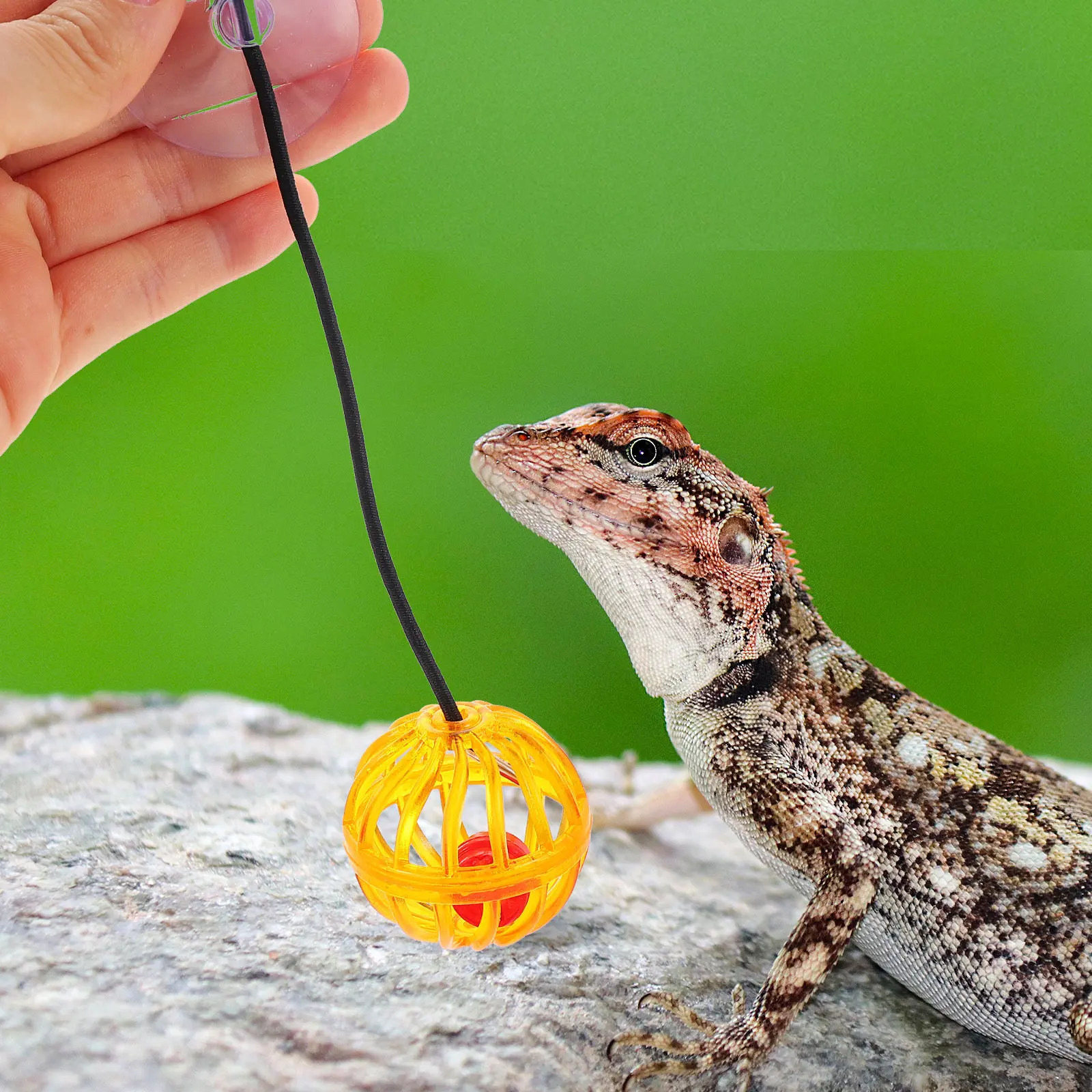 

7Pcs Funny Reptile Bell Ball for Lizard Bearded Dragon Gecko Pets Hanging Chew Play Decoration Compact Attractive Colorful