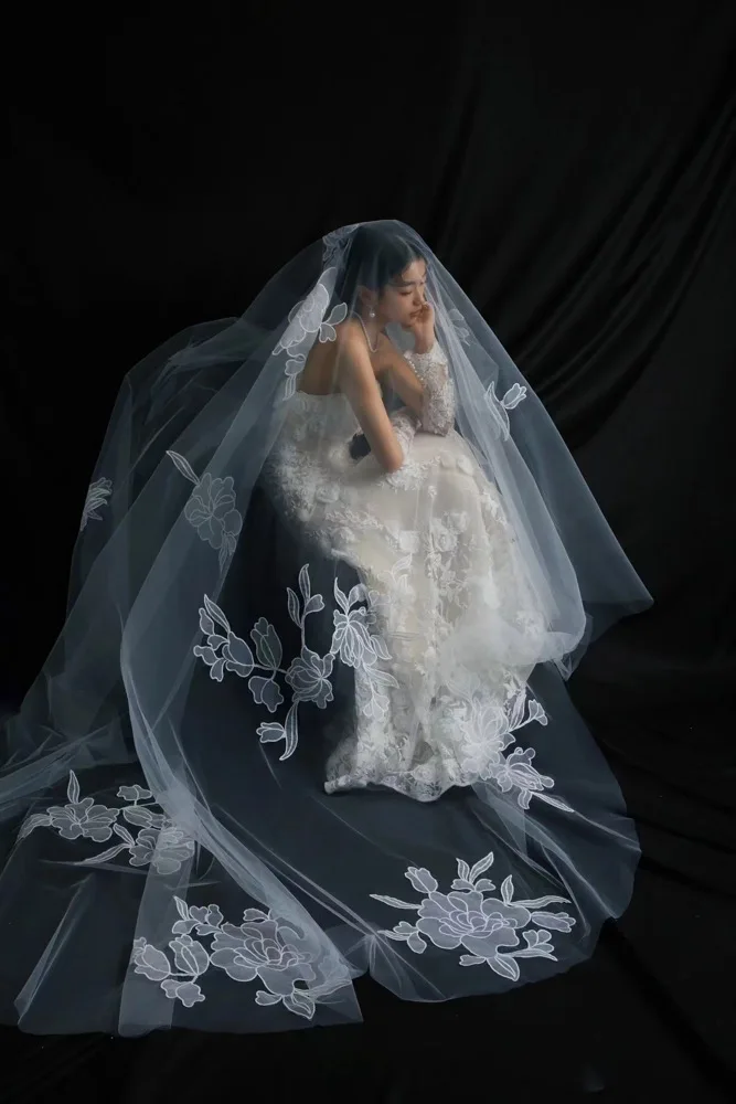 Luxury Lace Embroidery Cathedral Wedding Veils Long Bridal Veil Wedding Accessories 3 Meters long