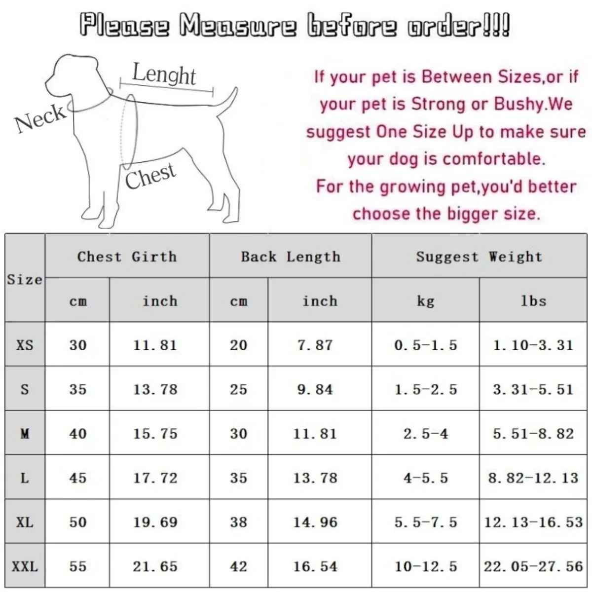 Embroidered Little Bear Pet Polo Tank Top Compared to Teddy Bear Spring/Summer Casual Breathable Dog Clothes
