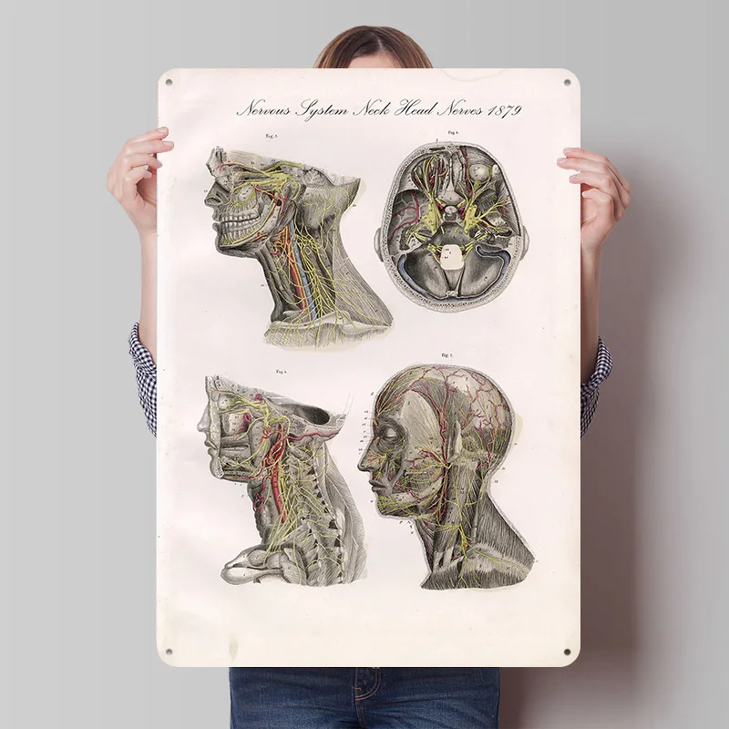 Nervous System Neck Head Nerves Tin Plaque Poster Customized Retro Wall Art Vintage Metal Signs for Room Bar Accessories Home