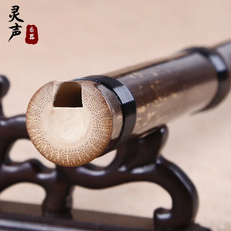 

Spiritual musical instrument Xiao Dongxiao Zizhu Xiao G key F key eight holes section professional performance