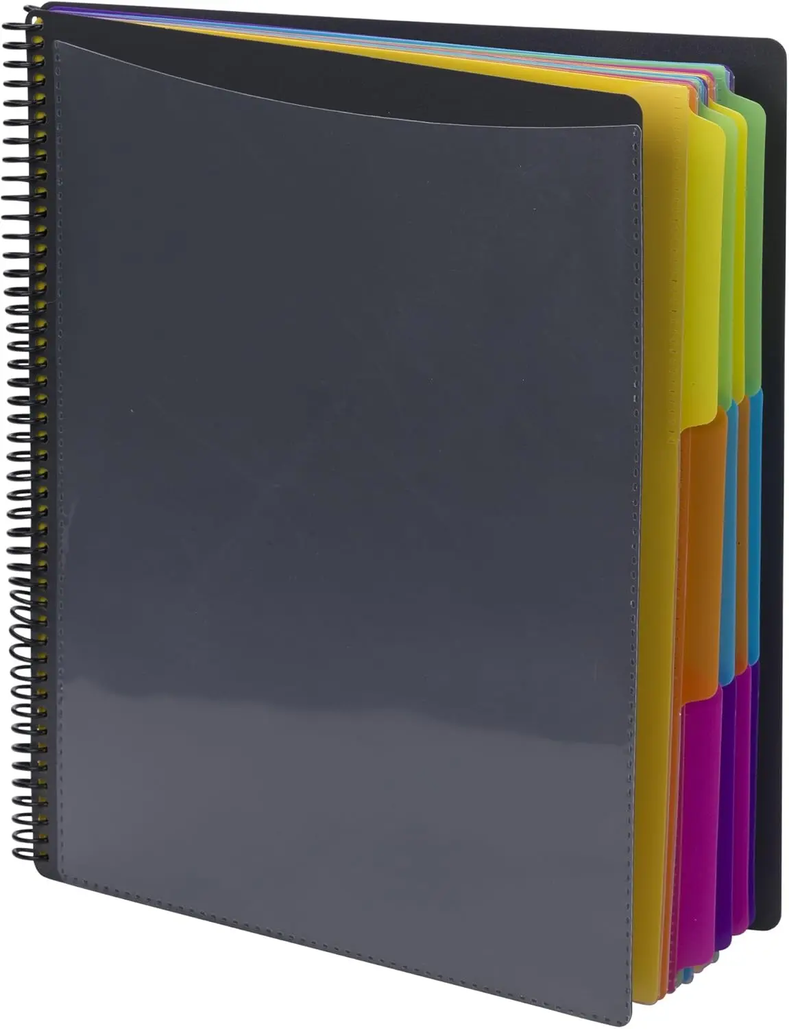 

12-Pocket Letter Size Poly Project Organizer with Colorful Dividers, 1/3-Cut Tabs, Gray and Bright Colors (Pack of 1)