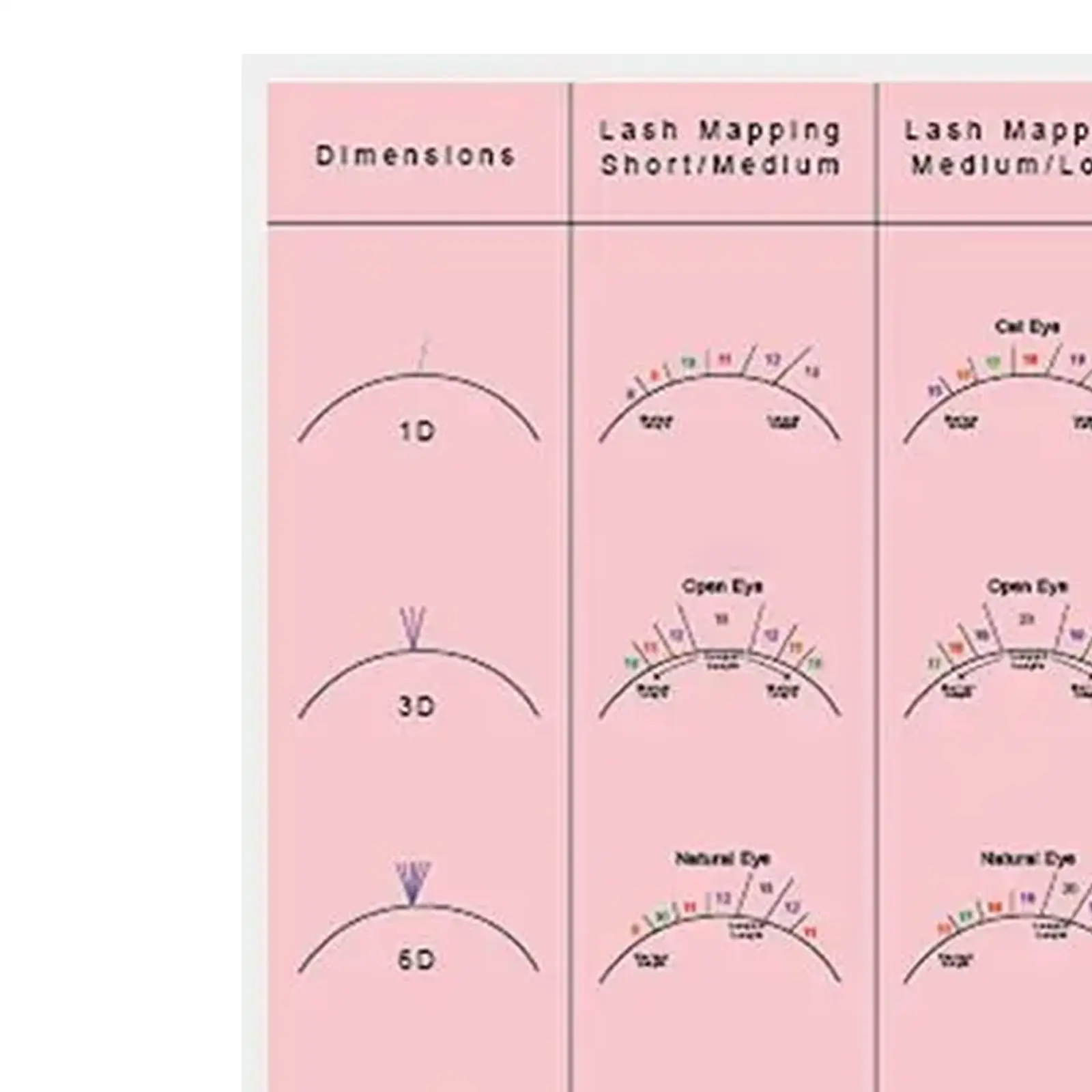 Tableau des Cils pour Entraînement NikProfessionnel