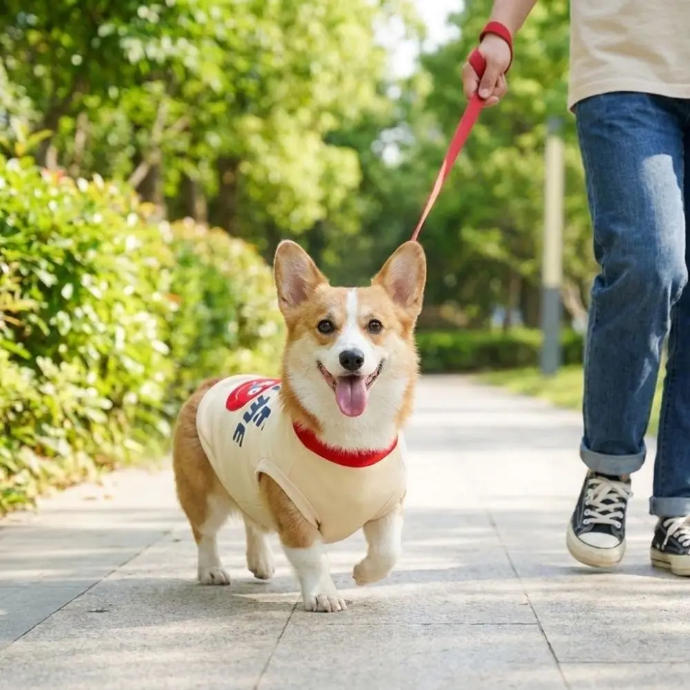 Cartoon Pattern Adorable Dog Vest Cozy Warm Pet Sweater Soft Breathable Fleece-lined Pet Sweatshirt Indoor Wear