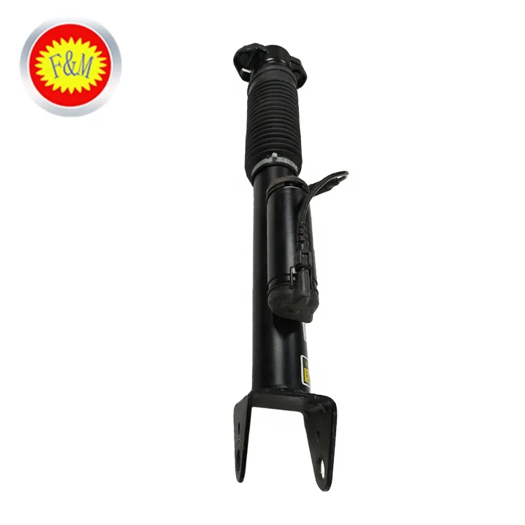 Wholesale Price Car Spare Engine Part OEM A1663200930 Auto Shock Absorber
