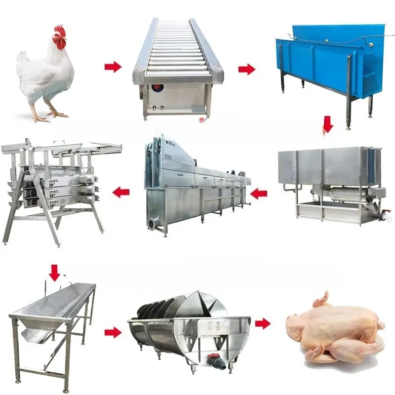 Customized Poultry Slaughter Line With Chilling Tank Poultry Cold Immersion Chilling System For Fresh Meat Preservation