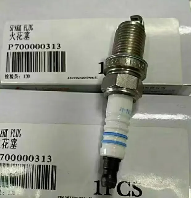 P700000313 Car Spar…