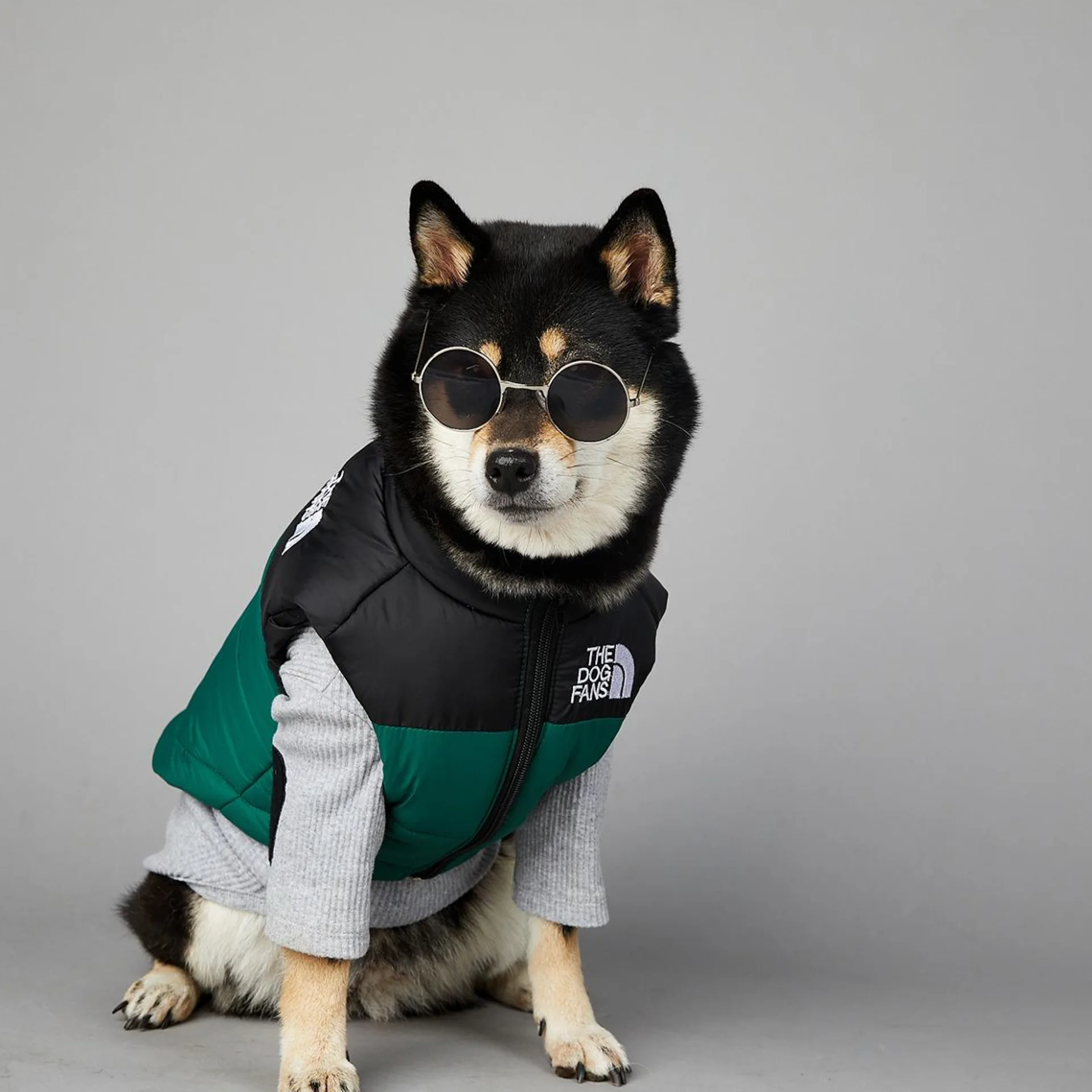 Chubasquero cálido para perros grandes, ropa de algodón para mascotas, a prueba de viento y lluvia, Invierno