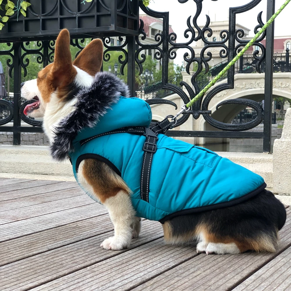 Winter Dog Clothes Warm Dog Jacket With Harness Hoodies Waterproof Pet Coat For Small Dogs Chihuahua Clothing Puppy Costume