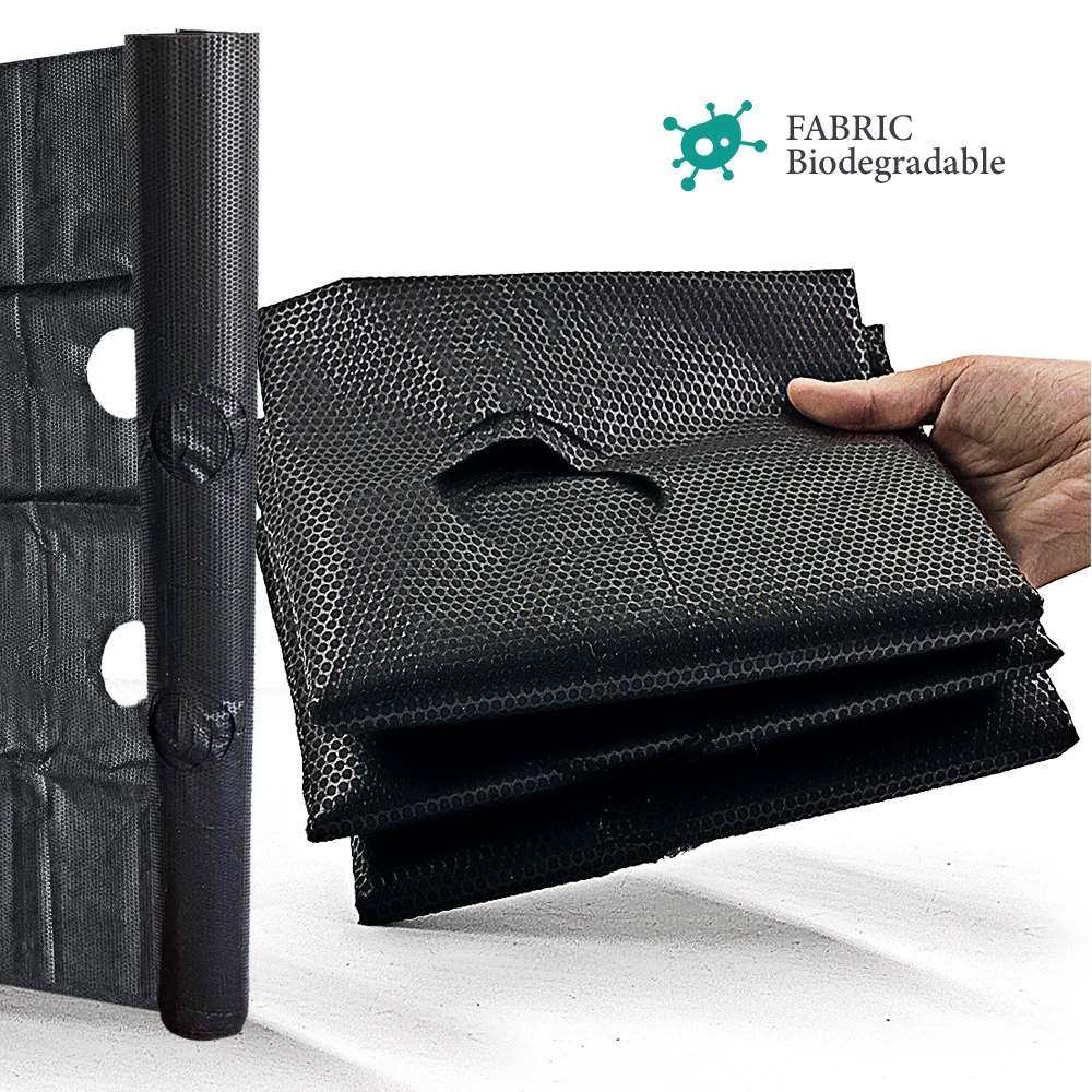 Black Weed Control Cloth with Planting Holes for Garden Agriculture Plants Vegetable Fruit Growing Permeable Fabric Ground Film