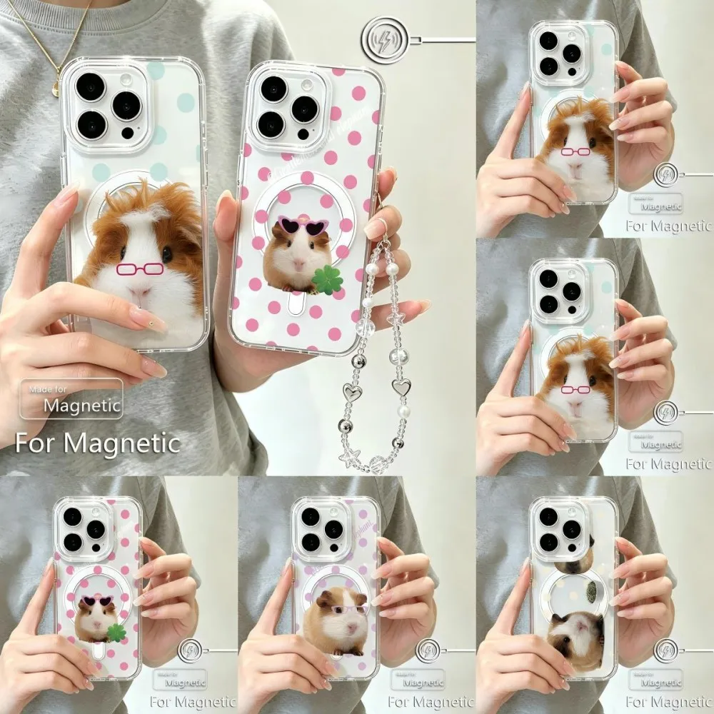 Magnetic Phone Case for Samsung Galaxy S25 S24 S23 S22 S21 S20 FE Edge Plus Ultra 5G Soft Clear TPUKorean Guinea Pig