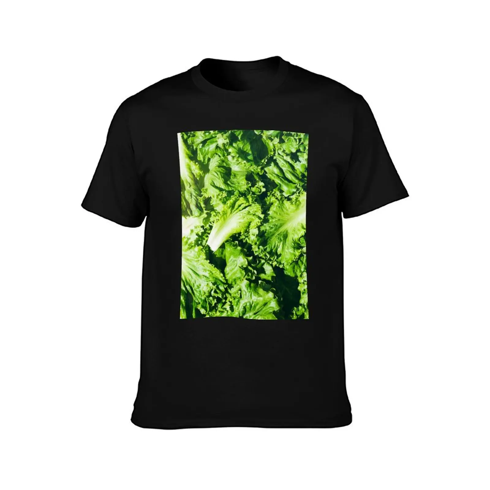 Ingredients: Overhead View Of Leaves Of Green Leaf Lettuce T-Shirt Anti-Fade Casual Tee Shirt
